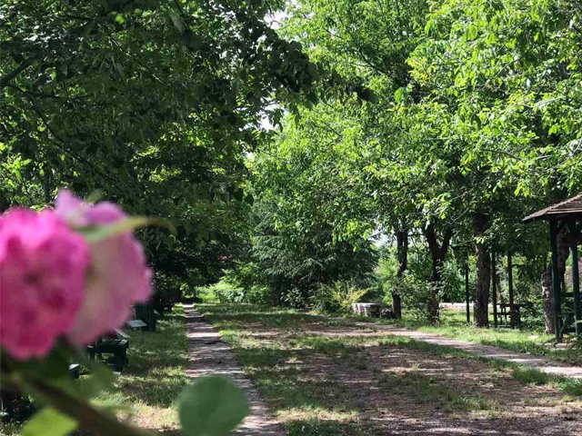 VotanikosSmall VotanikosSmall